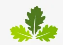 British Hardwood logo
