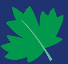 Broadleaf Financial logo