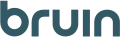 Bruin Group logo