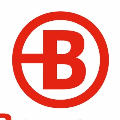 Bruneau logo