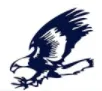 B Safe Security logo