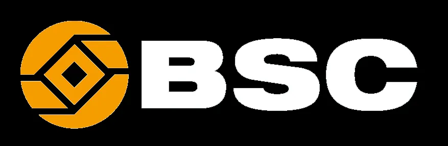 BIDV Securities logo
