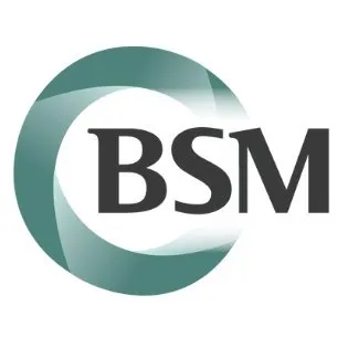 BSM Consulting logo