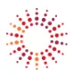 BSR logo