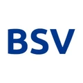 BSV Blockchain logo