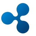 BTCXIndia