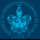Meritorious Autonomous University of Puebla logo