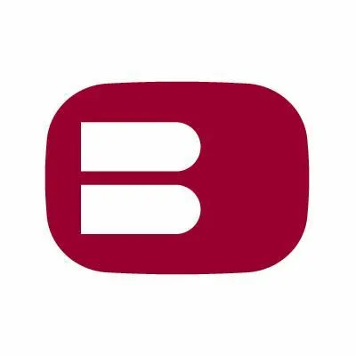 Buckle logo