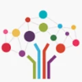 Buddies Technologies