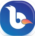 Bulbul Stream logo
