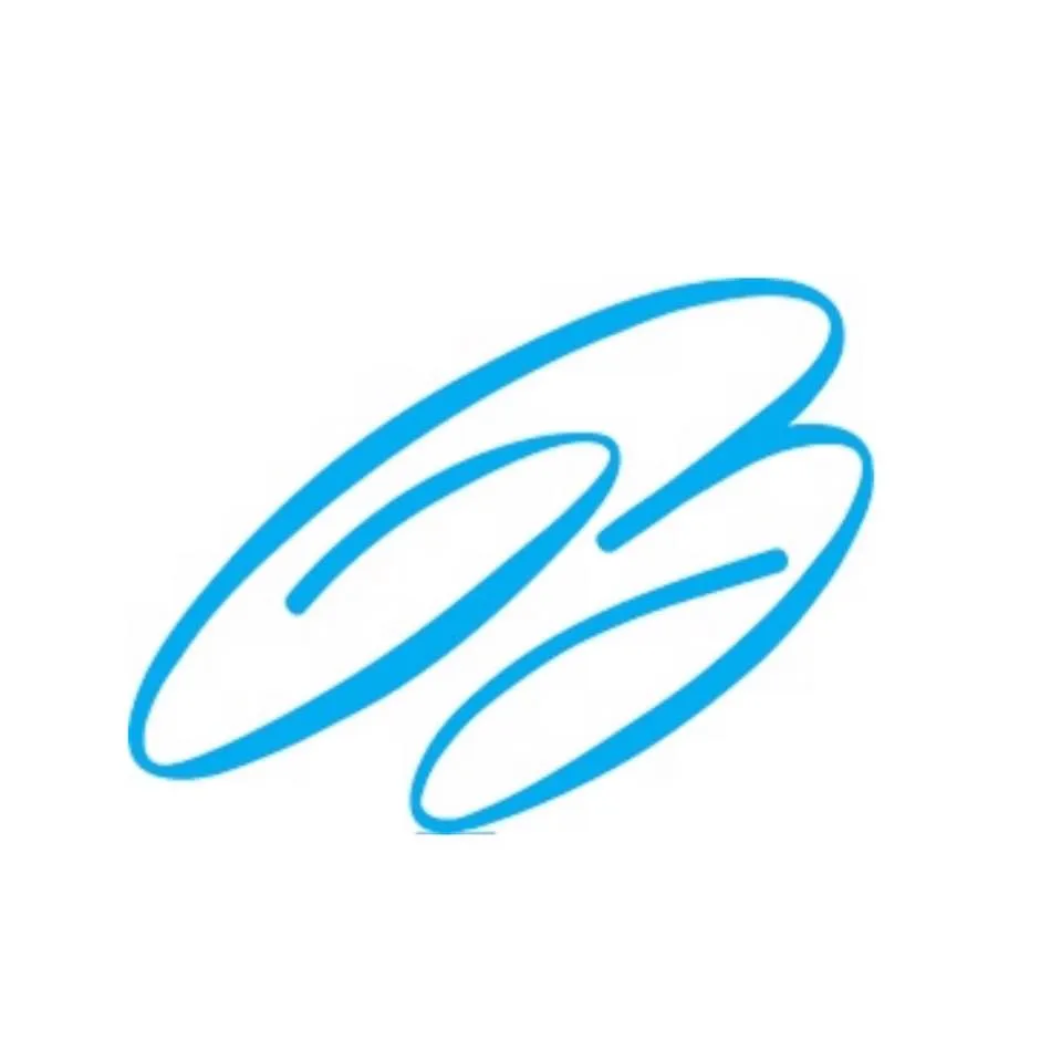 Bulfinch Boston Realty logo