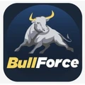Bullforce logo