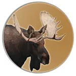 Bull Moose  Capital logo