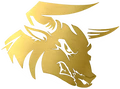 Bulls Exceed
