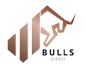 Bulls Girisim logo
