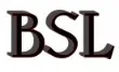 Bullskin Stone logo