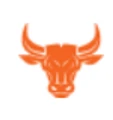 BullTheme logo