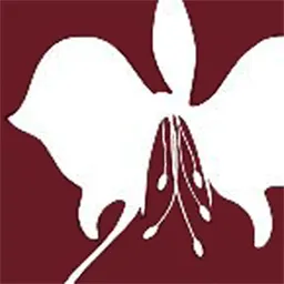 Burren Energy logo
