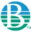 Burrows Paper logo