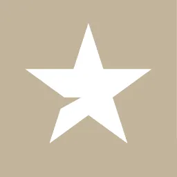 Burstly logo