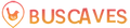 Buscaves logo