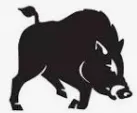 Bush Hog logo