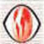 Business Monitor logo