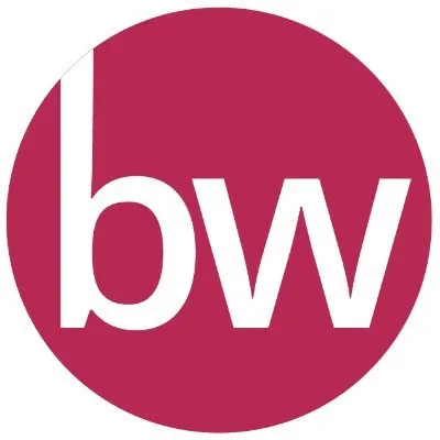 Businesswise Solutions logo