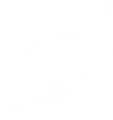 BusySeed logo