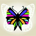 Butterfly Hub