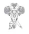 BuyCeylon logo