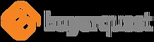 BuyerQuest logo