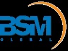 BSM Global logo