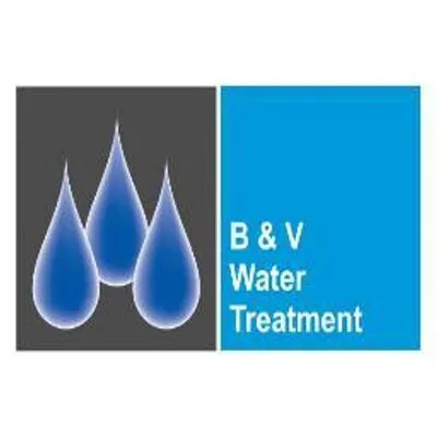 B & V Group logo
