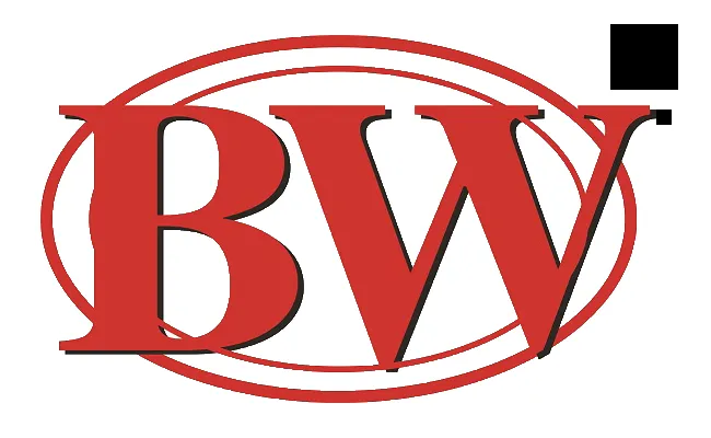 BWYS Group logo