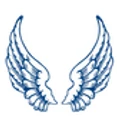 C-Wings Software Solutions