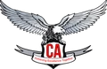 CA Final Test Series
