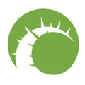 Cactus Creatives