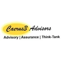 Caerus3 Advisors
