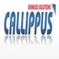 Callippus