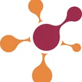 Calsoft Systems logo
