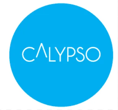 Calypso Agency logo
