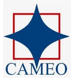 Cameo India logo