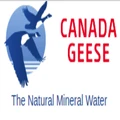 Canada Geese logo