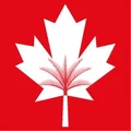 Canadian University Dubai logo