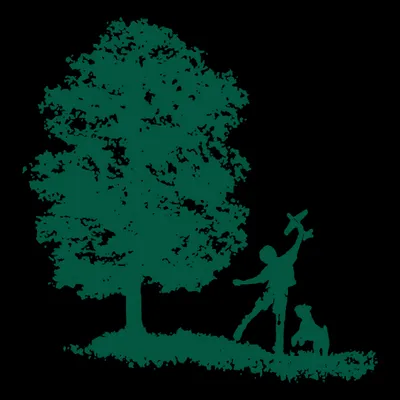 Cancer Treatment Centers Of America logo