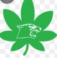 Cannabis Drying Technologies logo