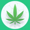 CannaHail logo