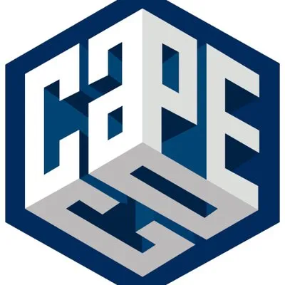 Instituto CAPECO logo