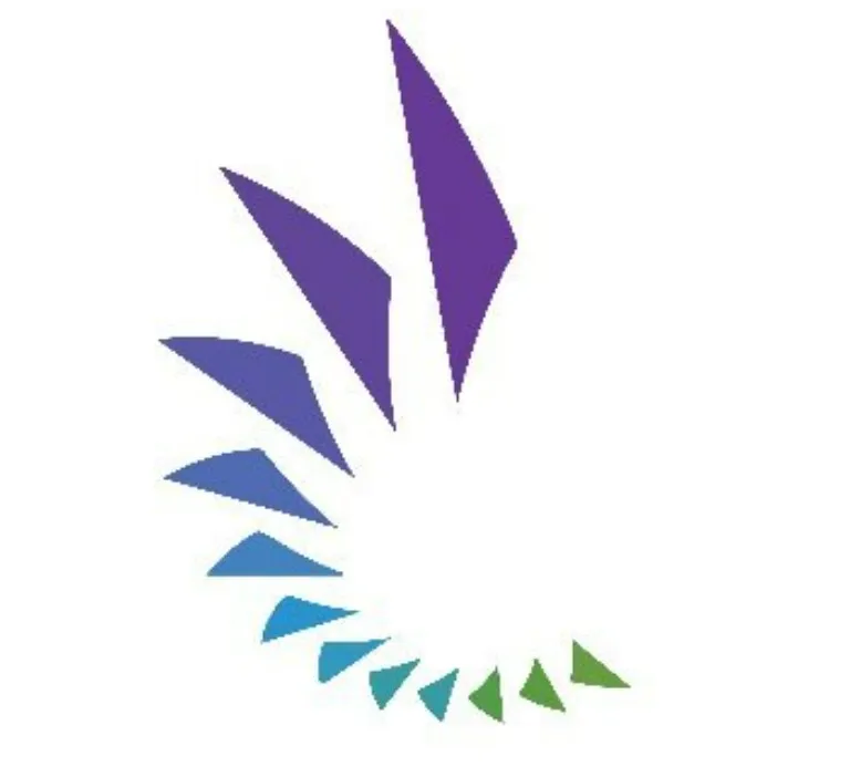 Capital Innovators logo